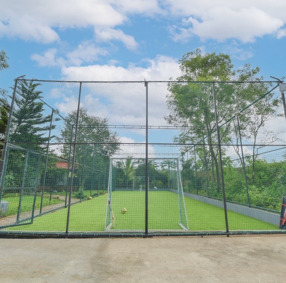 Sports Turf